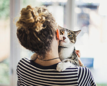 12 signes que votre chat vous aime vraiment