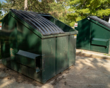 Cat stuffed in paper bag, left in dumpster now safe thanks to rescuers