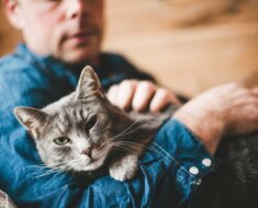 6 Signes que votre chat vous déteste secrètement