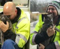 Un chauffeur de camion fond en larmes après avoir retrouvé son chat perdu depuis longtemps après 5 mois de recherche