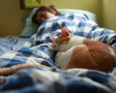 Pourquoi les chats dorment-ils sur vous ? Devriez-vous les laisser ?