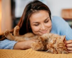 10 façons de montrer à votre chat que vous l’aimez
