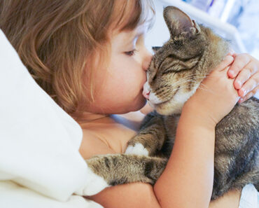 Qu’est-ce que cela signifie lorsqu’une tête de chat vous heurte ?