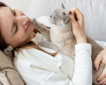 Pourquoi les chats s’assoient-ils sur votre poitrine ? 10 raisons pour lesquelles !