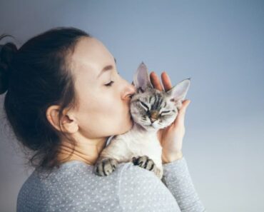 Les chats aiment-ils être embrassés ?