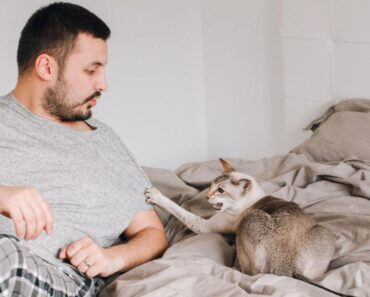 Pourquoi mon chat siffle-t-il contre mon partenaire ?