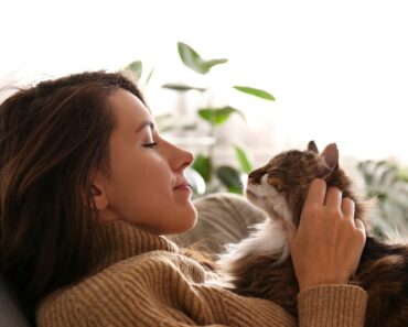 8 raisons pour lesquelles votre chat sera toujours votre « bébé »