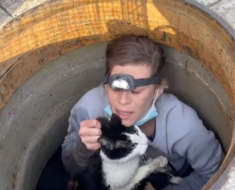 La jeune femme avait aidé le pauvre chaton de sortir du tuyau
