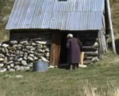 My Elderly Neighbor Visited an Old Shack Every Day at the Same Time – I Nearly Fainted When I Checked inside One Day