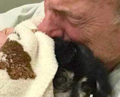 Man dies after losing beloved four-legged friend of 14 years