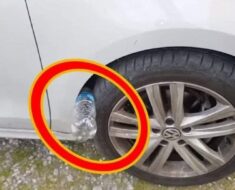 If You See A Plastic Bottle On Your Tire, Pay Close Attention