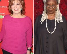 Finally, ABC issued an official statement confirming that Joy Behar and Whoopi Goldberg’s contracts will not be renewed because they are too toxic. Was it a wise choice