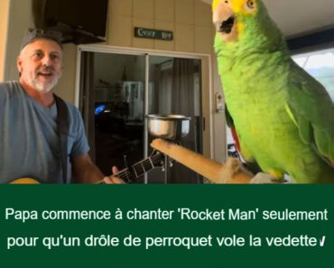 Un père commence à chanter « Rocket Man », mais un perroquet hilarant prend rapidement le relais et vole la vedette.