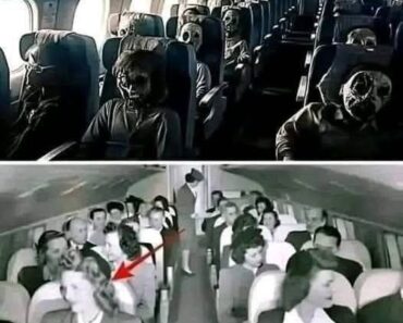 A plane carrying 92 passengers lands 20 years after the opening of the…See More