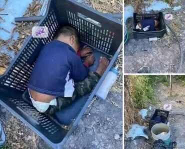This approximately 2-year-old boy was found… See more