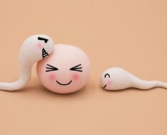 HT10. Understanding Male Reproductive Health: Composition, Safety, and Well-Being