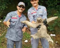 ST10. 30 Weird images you could only find on the internet s2