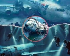 They find missing plane after 40 years with over 92 pa… See more
