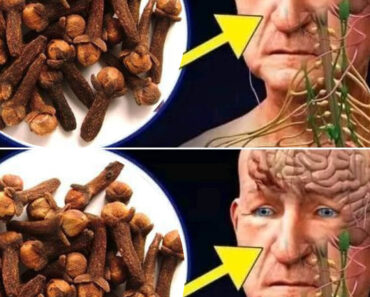 Découvrez les bienfaits insoupçonnés des clous de girofle pour rester en forme après 50 ans