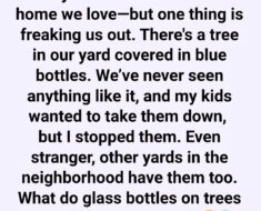 What Is the Significance of Glass Bottles in Trees?