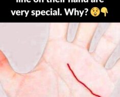 The meaning of the main lines of the hand!