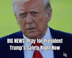 Newt Gingrich Warns of Very Dangerous Rhetoric as Political Tensions Escalate