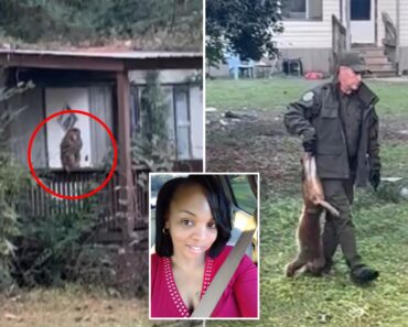 Mississippi Mom Protects Her Children After Escaped Monkey Roams Into Her Yard!