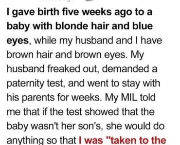 I Gave My Ex Full Custody After She Begged, One Day, When I Arrived to See My Child, Her New Husband Said, There Is No Daughter