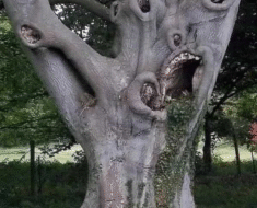 ST1. 50 Weird Photos You Could Only Find On The Internet