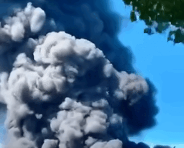 BREAKING NEWS Alert! Powerful 7,7 magnitude earthquake