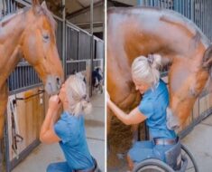 Young woman was hospitalized after being pe! See more!