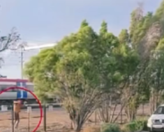 A Quiet Street and an Unusual Discovery Draw Attention