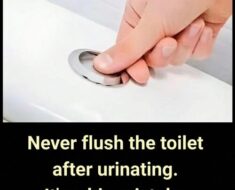 SOTD – Reducing Household Water Waste Through Mindful Bathroom Practices!