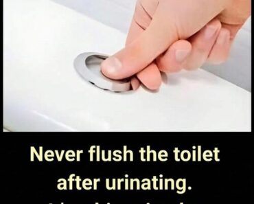 SOTD – Reducing Household Water Waste Through Mindful Bathroom Practices!