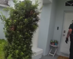 Police Respond to Local Home Following Concern — Community Awaits Update