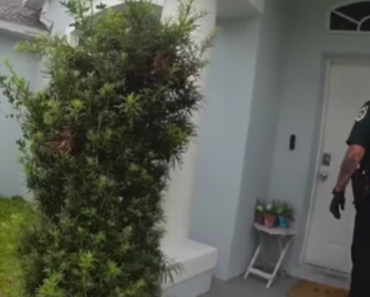 Police Respond to Local Home Following Concern — Community Awaits Update