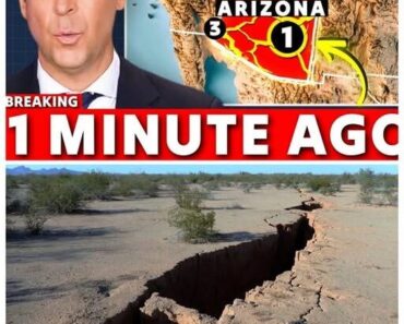 Arizona is widely known for its vast deserts, dramatic!