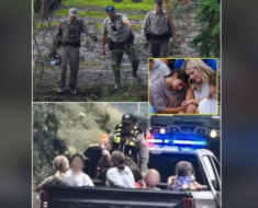 SPECIAL MIRACLE, 3 Missing Texas Girls Found Alive in a Hollow Tree 1 Mile From Camp, They Survived Nearly 10 Days Thanks to These 2 Things