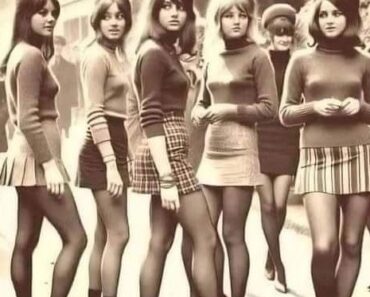 Everyone Stares at the Legs — Almost No One Notices the Real Secret