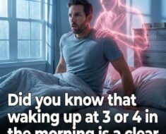 Why You Keep Waking?!