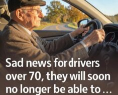 Driving Safely at Every Age! How State Guidelines Support Older Drivers