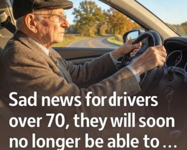Driving Safely at Every Age! How State Guidelines Support Older Drivers