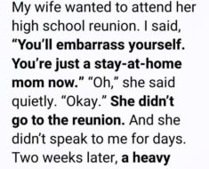 I Thought She Did Nothing All Day, Then a Single Box Proved Me Wrong!