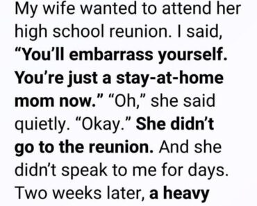 I Thought She Did Nothing All Day, Then a Single Box Proved Me Wrong!