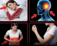 Stop Ignoring These Subtle Warning Signs Your Brain Is Changing Before It Is Too Late